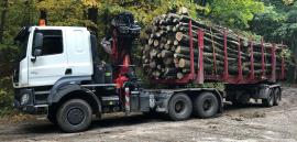 Μεταφορές και φόρτωση 13.10.2023 - 30.11.2023 | Υπηρεσίες | KASE