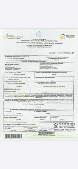 Τικ Ξυλουργική ξυλεία |  Τροπική ξυλεία | Ξυλεία | SOFT IT SP .ZO.O SPÓŁKA Z OGRANICZONĄ ODPO