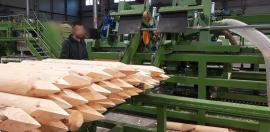 Άλλος εξοπλισμός Kompletn výroní Linka kulů . | Μηχανήματα πριονιστηρίου | Μηχανήματα ξυλουργικών εργασιών | Drekos Made s.r.o