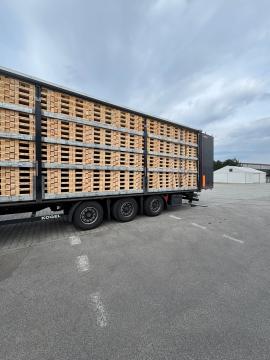 Παλέτες Παλέτες μίας χρήσης | Οι συσκευασίες, παλέτες | Woodproo s.r.o.
