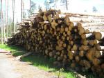 Σημύδα Ξύλο χαρτοποιίας |  Σκληρή ξυλεία | Κορμοί | Закупка ООО