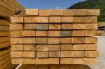 Έλατο Ξυλουργική ξυλεία |  Μαλακή ξυλεία | Ξυλεία / Ξύλο | DEMO