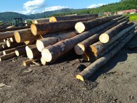 Έλατο Κορμοί πρίσης |  Μαλακή ξυλεία | Κορμοί | Peter Haladej 